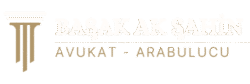 cropped basak ak sahin logo.png